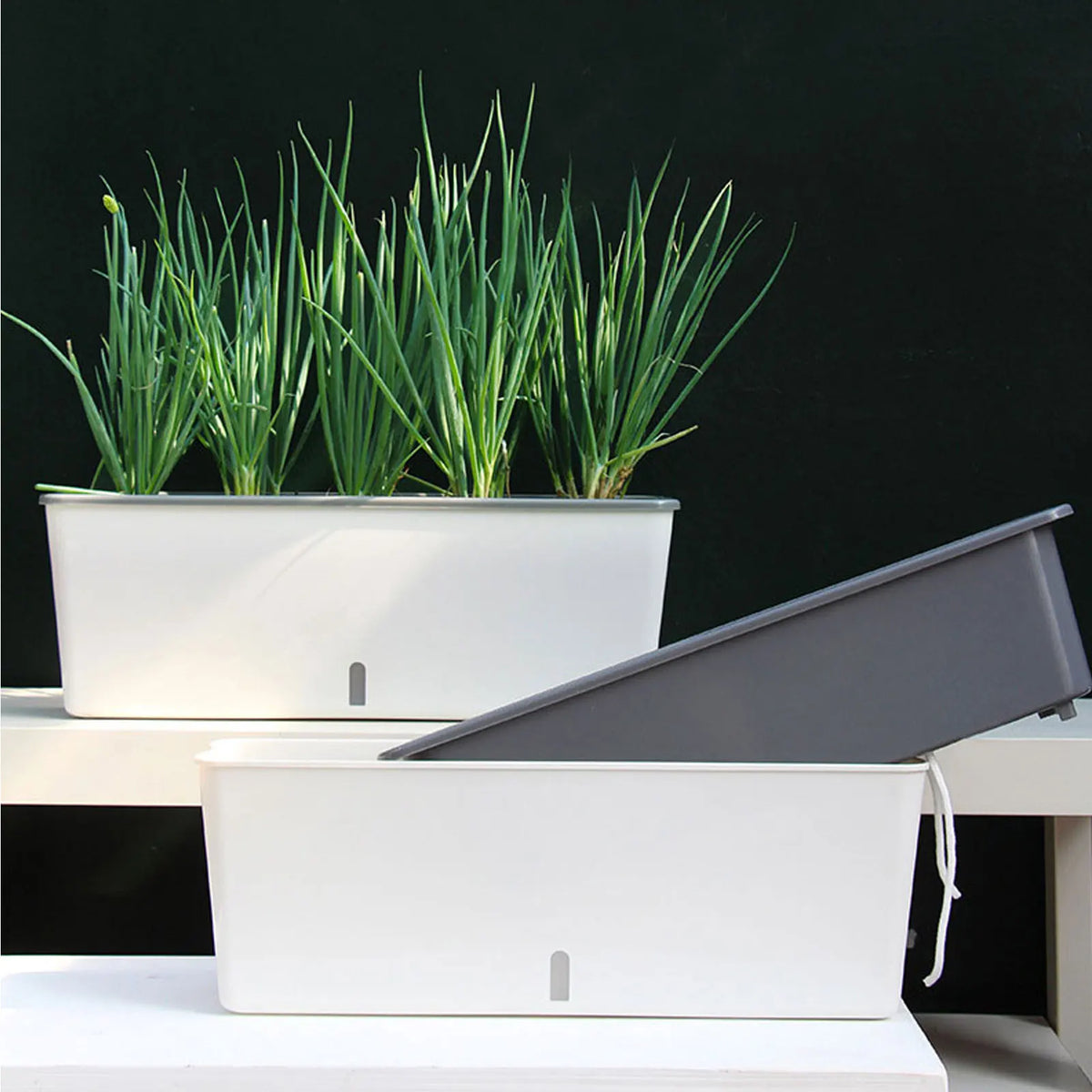 Self-Watering Planter Box – Water Level Indicator