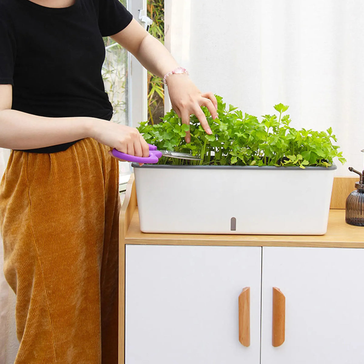 Self-Watering Planter Box – Water Level Indicator