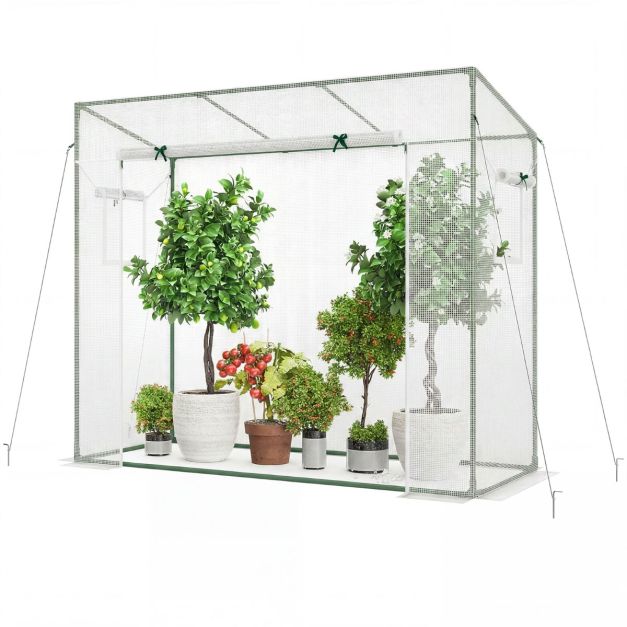 Mini Walk-In Greenhouse 200x77x170cm – PE Cover